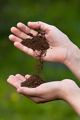 Image showing fertile soil in hands