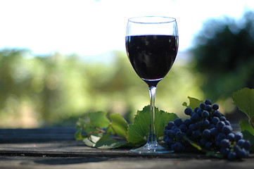 Image showing Glass Of Vino