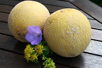 Image showing Galia melon