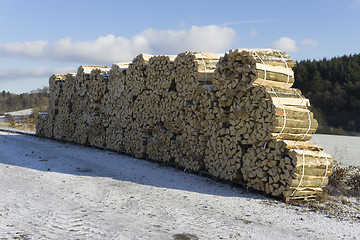 Image showing Woodpiles in Winter