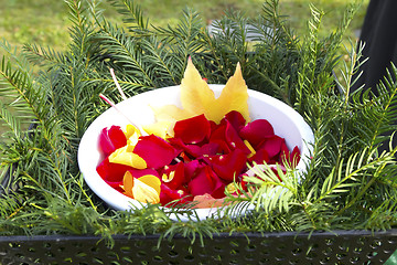 Image showing Detail of blossom leaves at a funeral