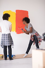 Image showing multiethnic couple painting interior wall