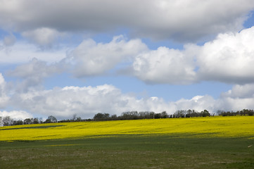 Image showing Farm land