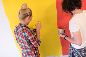 Image showing couple painting interior wall