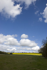 Image showing Farm land