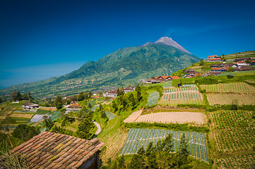 Image showing Life around Mount Merbabu