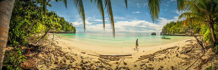 Image showing Man on beach