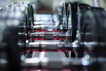 Image showing Row of spinlock dumbbels in special rack