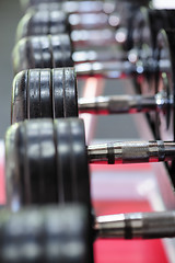 Image showing Row of spinlock dumbbels in special rack