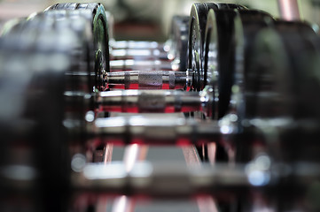 Image showing Row of spinlock dumbbels in special rack