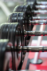 Image showing Row of spinlock dumbbels in special rack