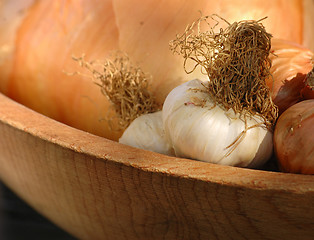 Image showing Organic Garlic