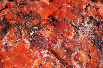 Image showing Petrified-Forest-National-Park, Arizona, USA