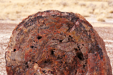 Image showing Petrified-Forest-National-Park, Arizona, USA