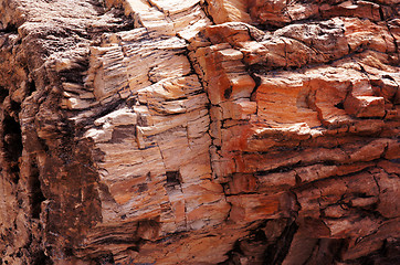 Image showing Petrified-Forest-National-Park, Arizona, USA