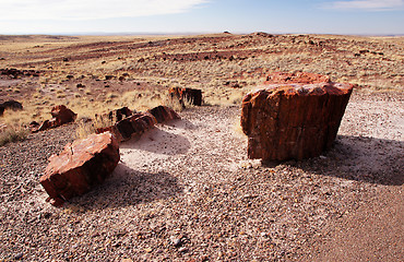 Image showing Petrified-Forest-National-Park, Arizona, USA