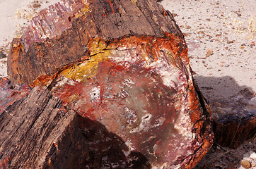 Image showing Petrified-Forest-National-Park, Arizona, USA