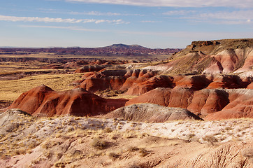 Image showing Petrified-Forest-National-Park, Arizona, USA