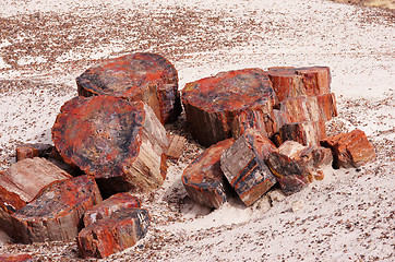 Image showing Petrified-Forest-National-Park, Arizona, USA