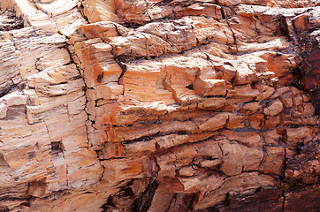 Image showing Petrified-Forest-National-Park, Arizona, USA