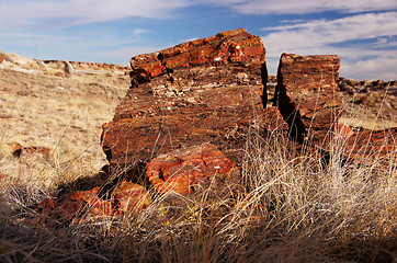 Image showing Petrified-Forest-National-Park, Arizona, USA