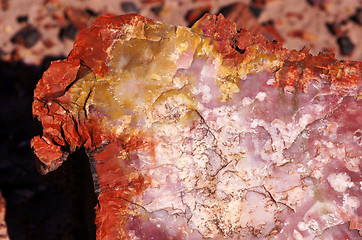 Image showing Petrified-Forest-National-Park, Arizona, USA