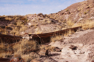 Image showing Petrified-Forest-National-Park, Arizona, USA