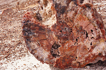 Image showing Petrified-Forest-National-Park, Arizona, USA