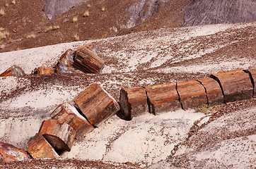 Image showing Petrified-Forest-National-Park, Arizona, USA