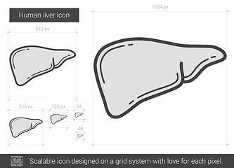 Image showing Human liver line icon.