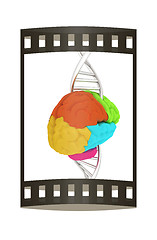 Image showing Brain and dna. 3d illustration. The film strip