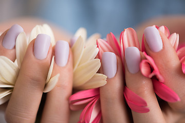 Image showing woman hands with manicure holding flower