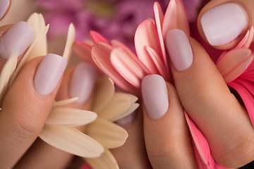 Image showing woman hands with manicure holding flower