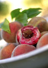 Image showing Peaches In Bowl