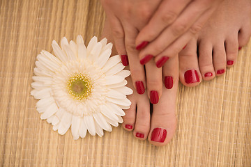 Image showing female feet and hands at spa salon