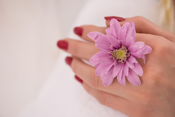 Image showing woman fingers with french manicure