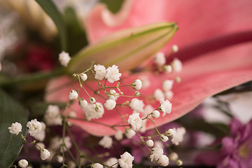 Image showing close up colorful flowers