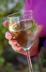 Image showing White Wine