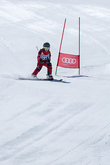 Image showing Marcelo Vicente during the Ski National Championships