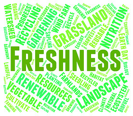 Image showing Freshness Word Represents Freshen Freshly And Natural