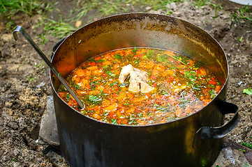 Image showing Hot soup in a tourist bowler on a picnic