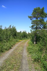 Image showing Country road