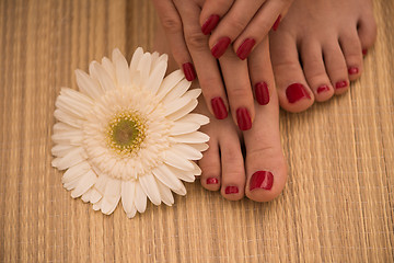 Image showing female feet and hands at spa salon