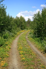 Image showing Country road