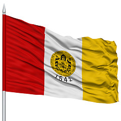 Image showing San Diego City Flag on Flagpole, USA