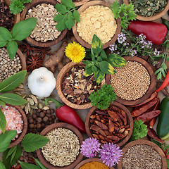 Image showing Dried and Fresh Herbs and Spices
