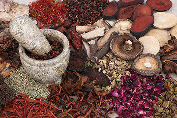 Image showing Traditional Chinese Herbal Medicine