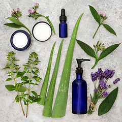 Image showing Herbs Cream and Oils for Skincare