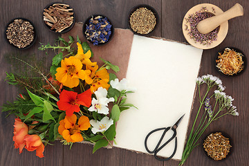 Image showing Flowers and Herbs for Healing