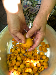 Image showing Granny cleans apricot